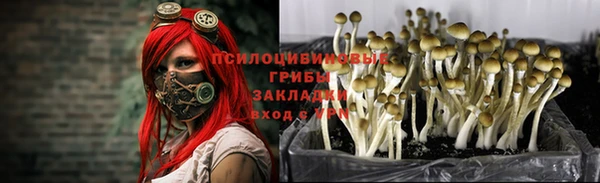 MDMA Белоозёрский